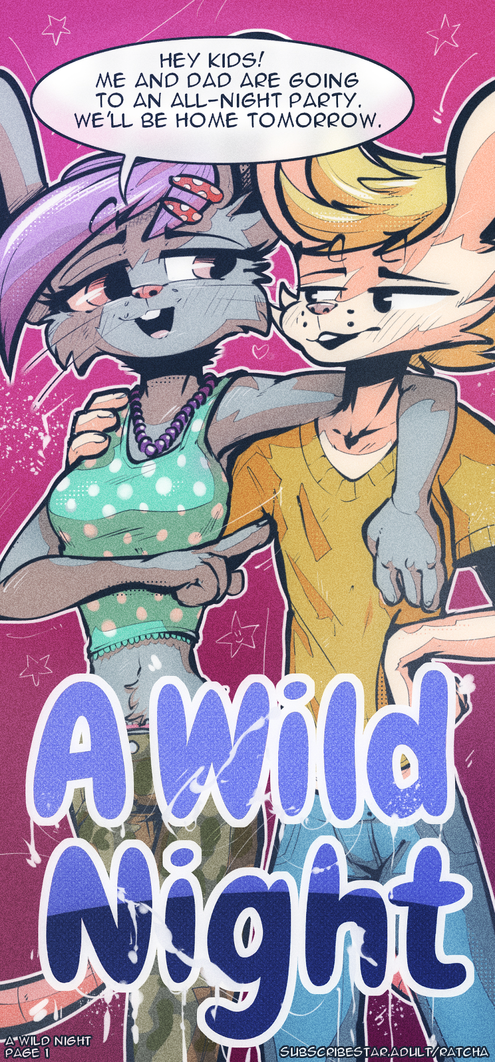 A Wild Night — cover