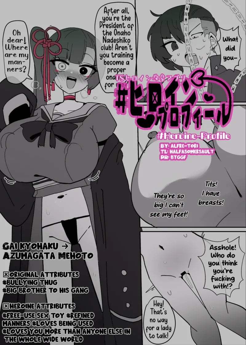 [Alfre-Tori] Heroine Profile 5 — cover