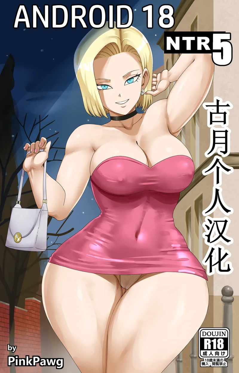 Android 18 Ntr 5 — cover