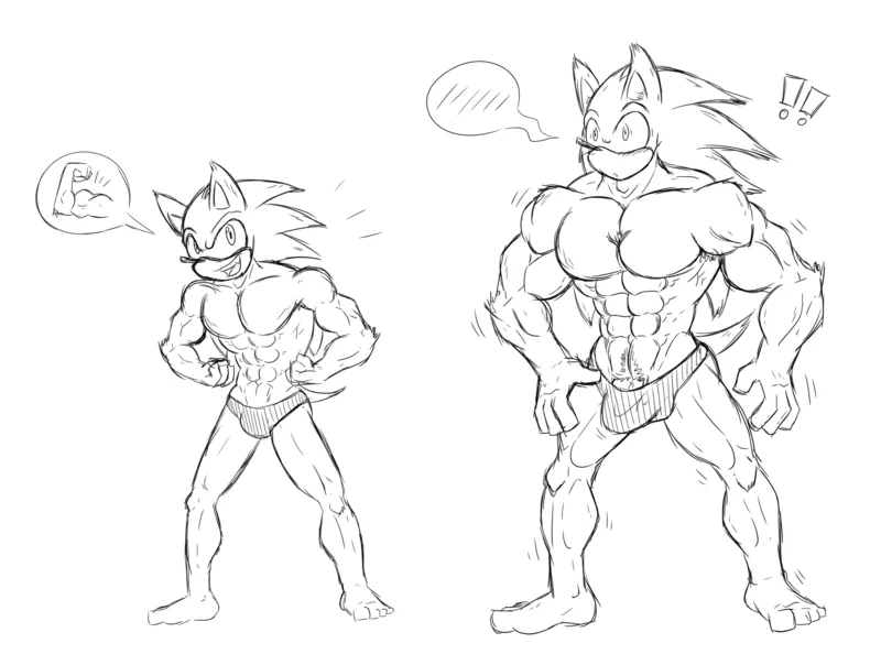 Beef’d Up Sonic comic porn — cover