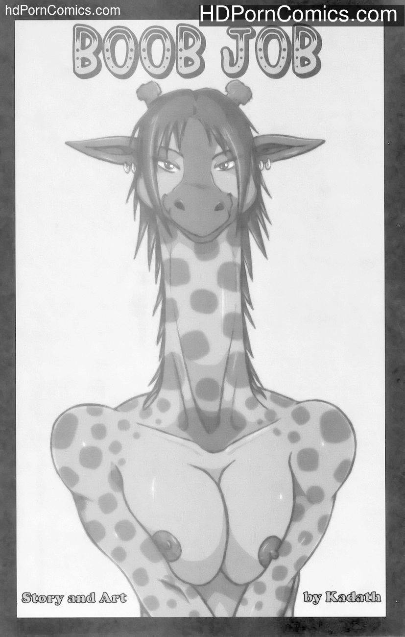 Boob Job Sex Comic — cover