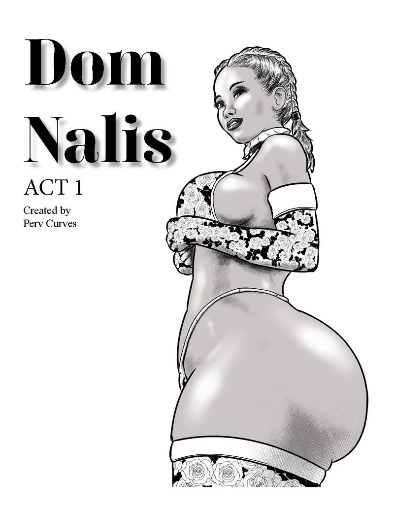 Dom Nalis 1 — cover
