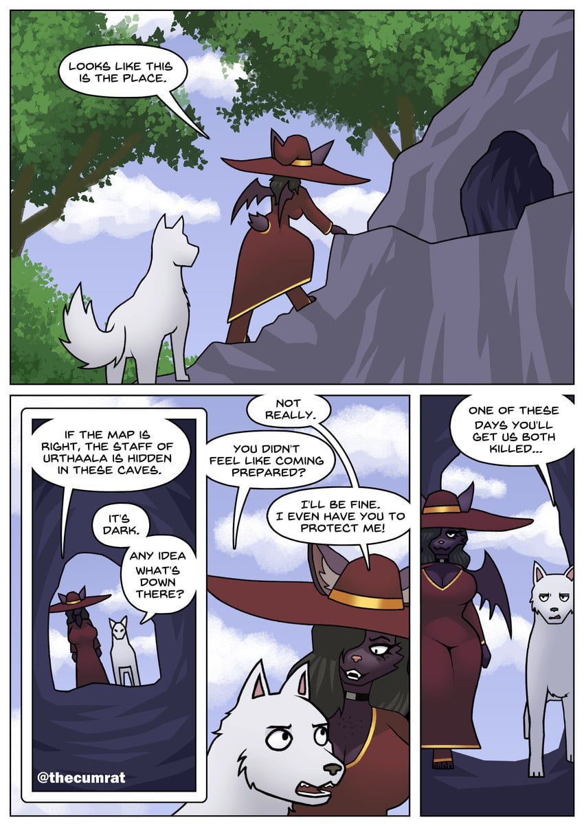Folly and Fortune — cover