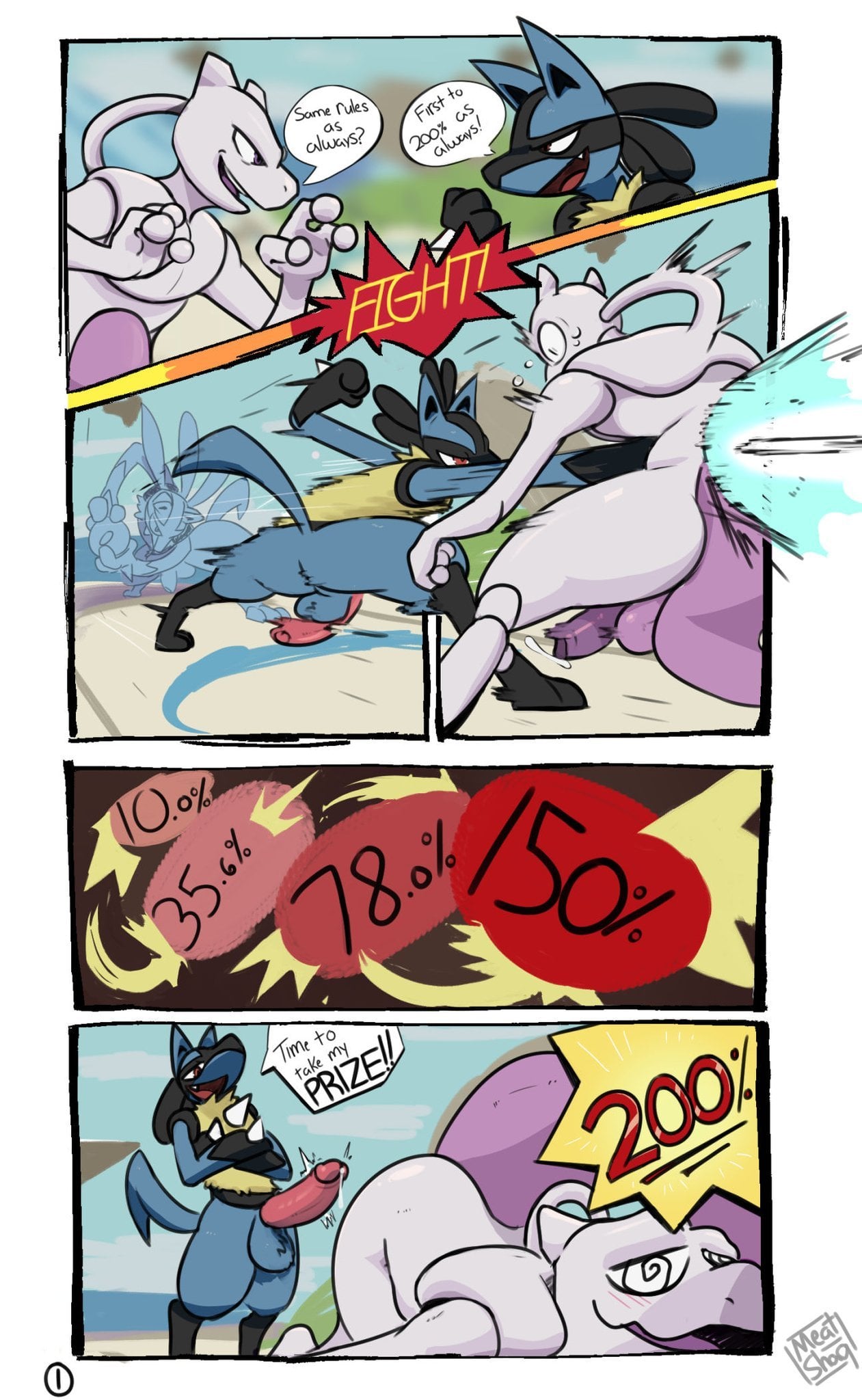 Lucario vs Mewtwo — cover