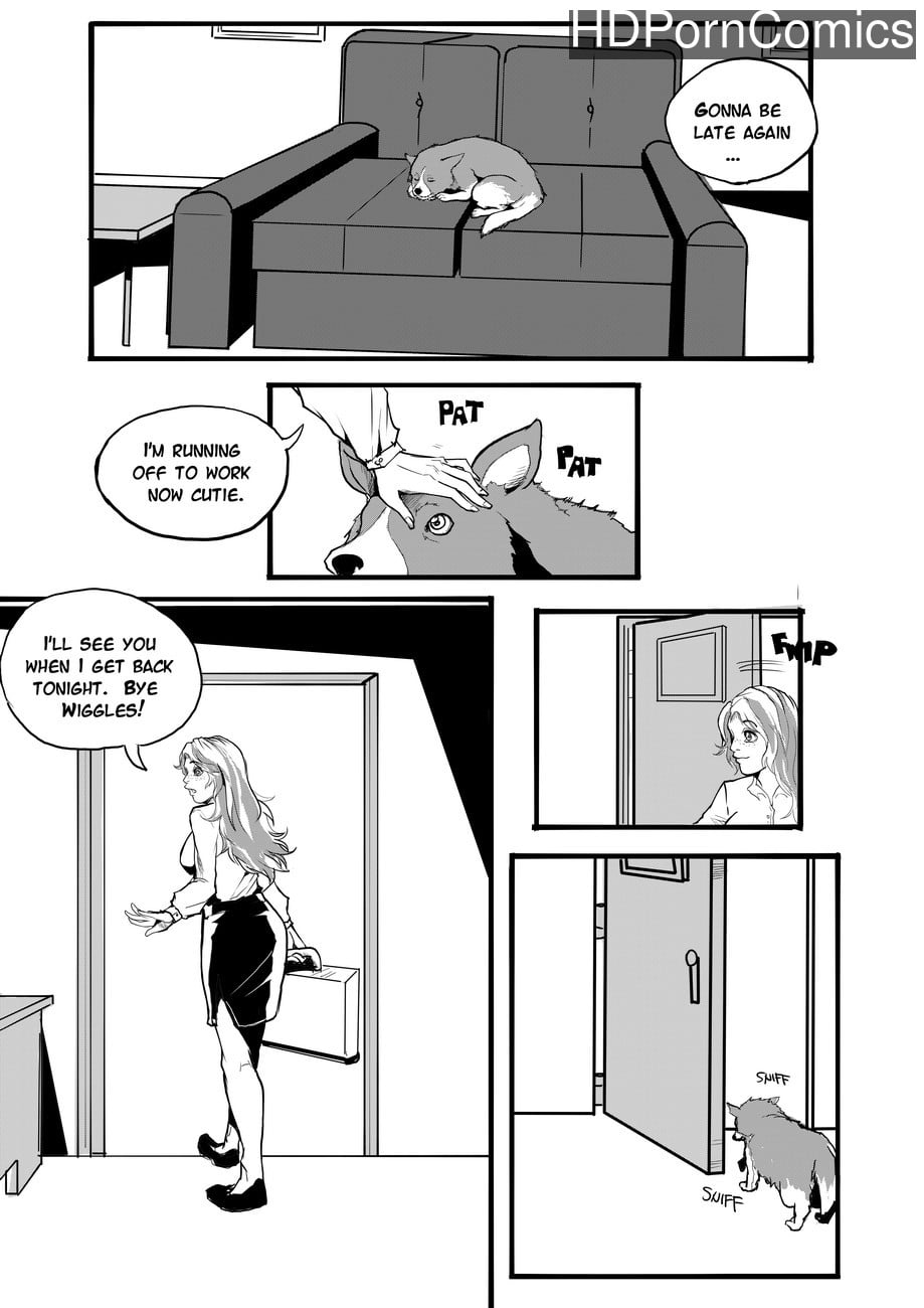 Mr Wiggles Big Day Out comic porn — cover