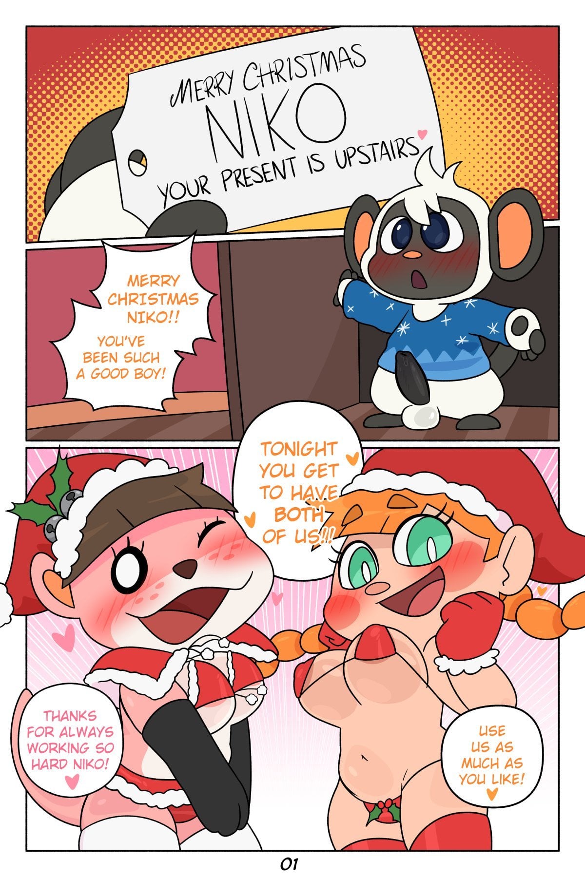 Niko’s Christmas — cover