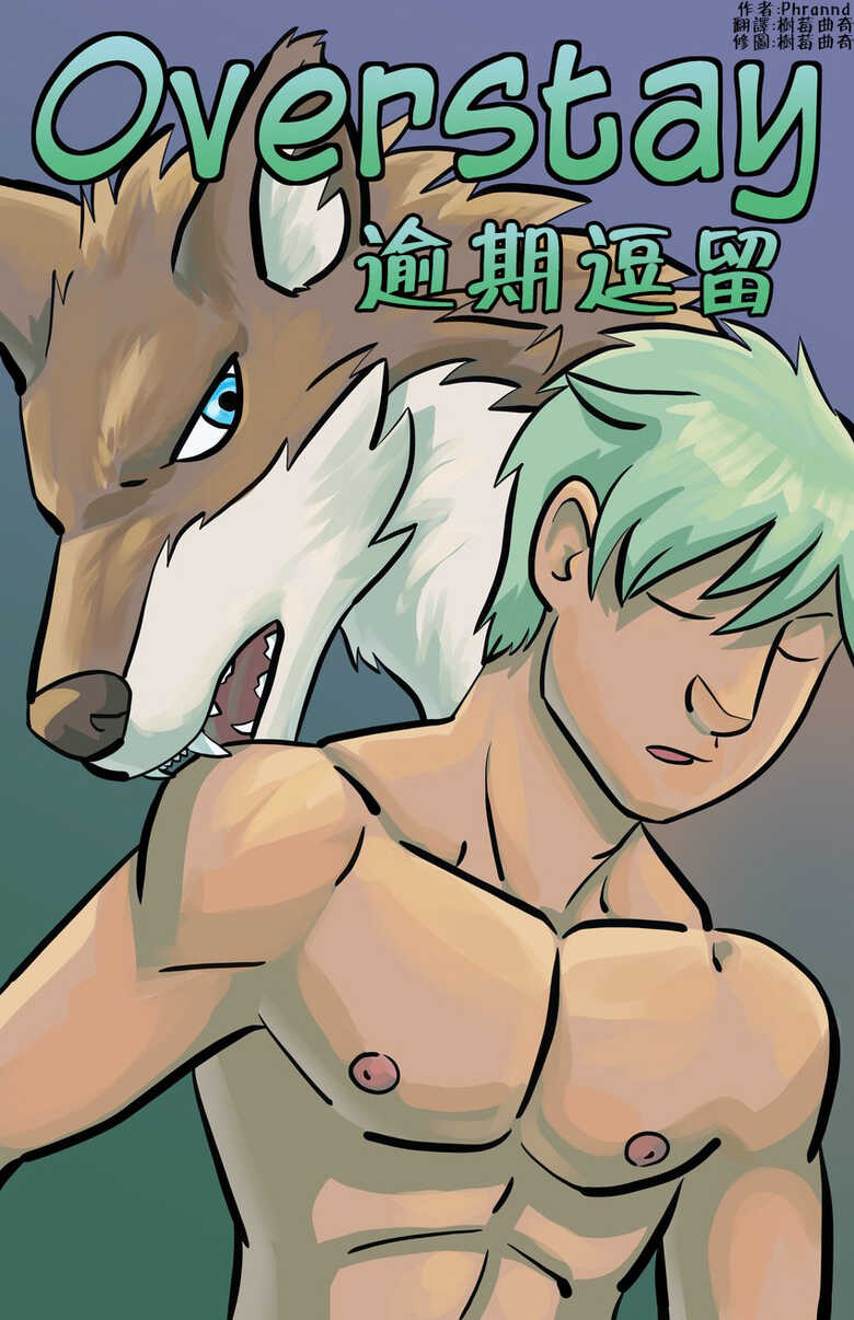 Overstay 2 — cover