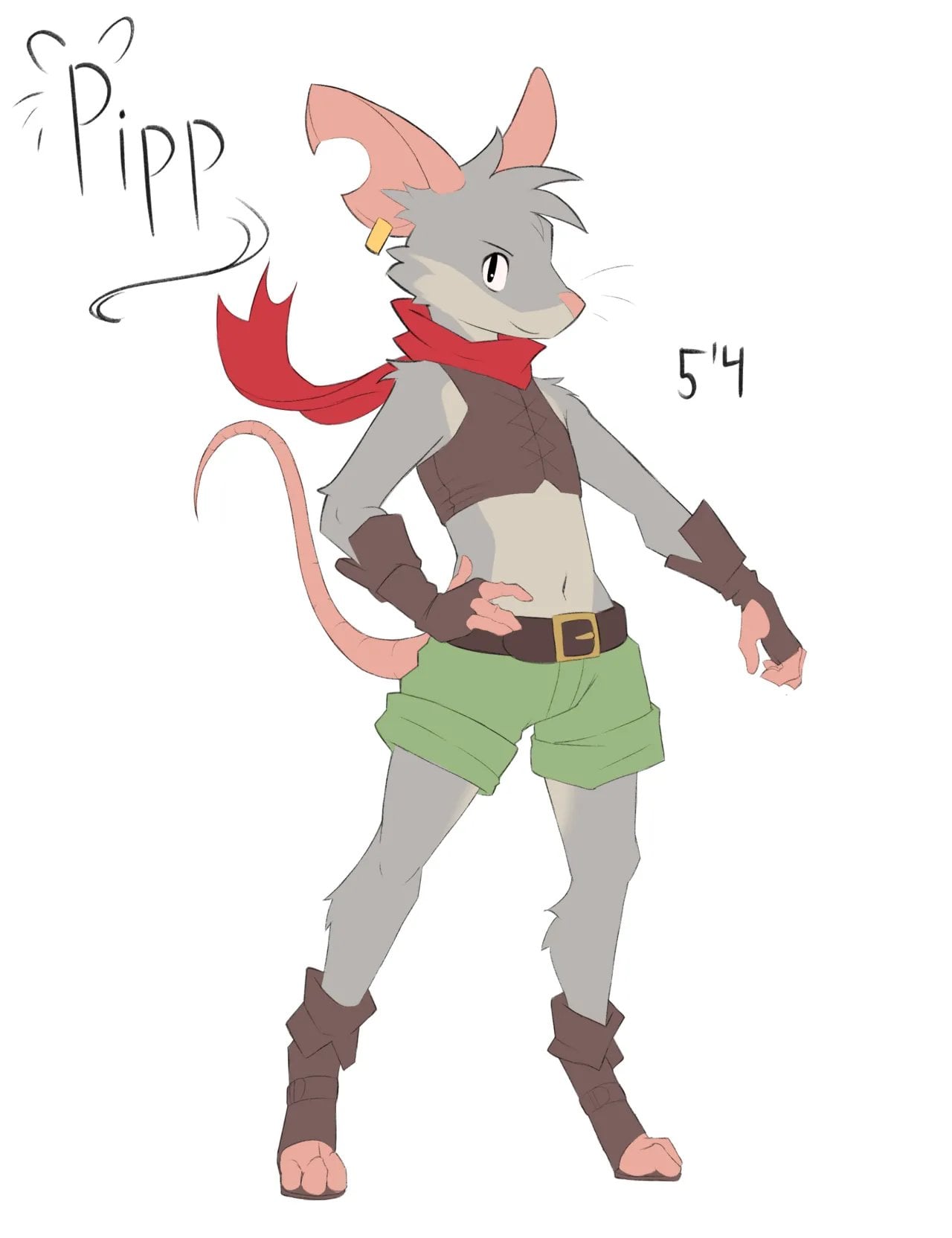 Pipp the Mouse Thief — cover