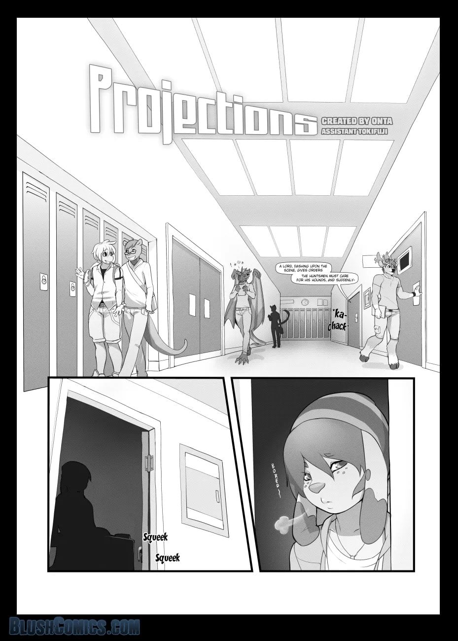 Projections — cover