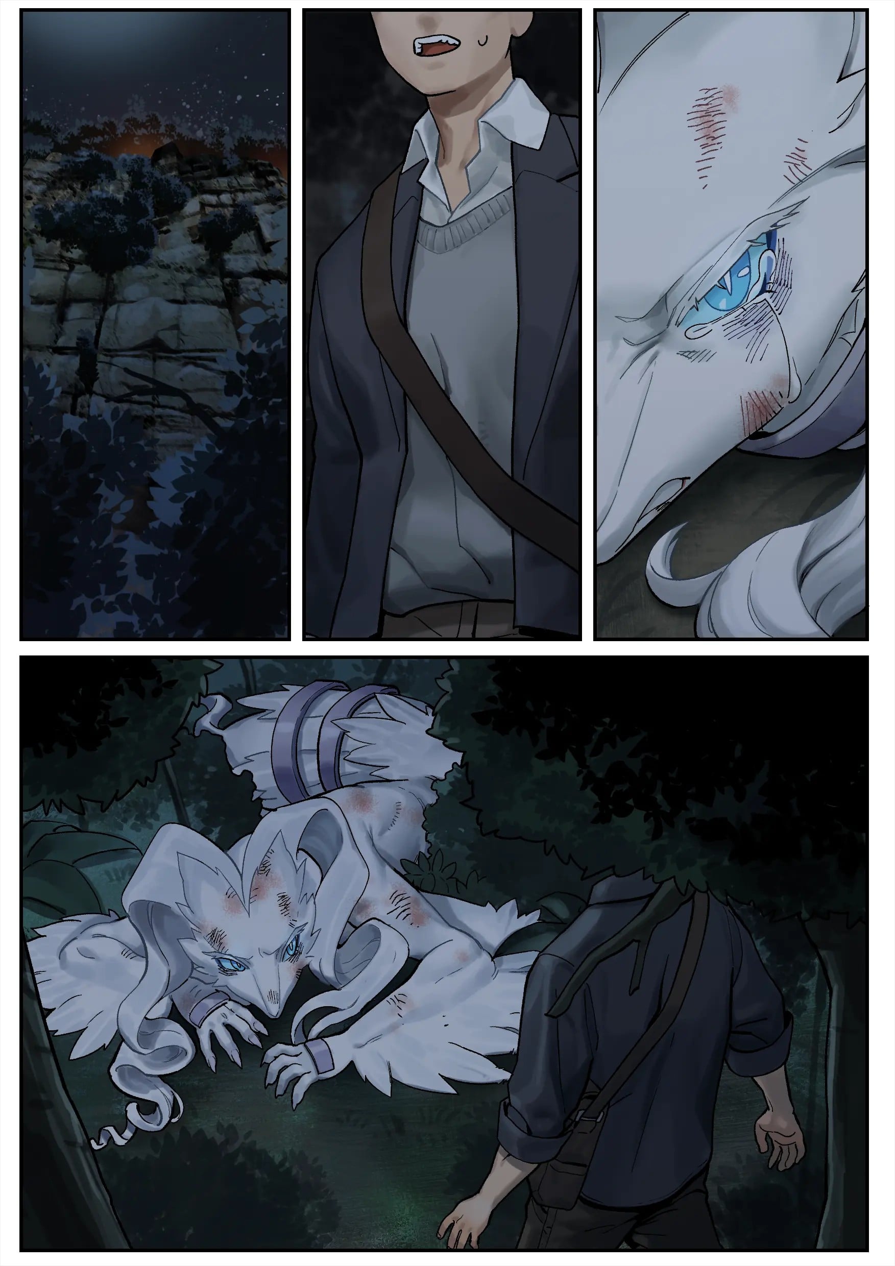 Reshiram — cover