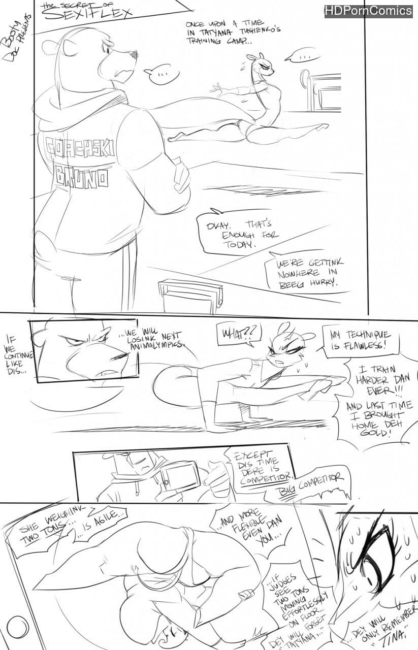 SexiFlex Training — cover