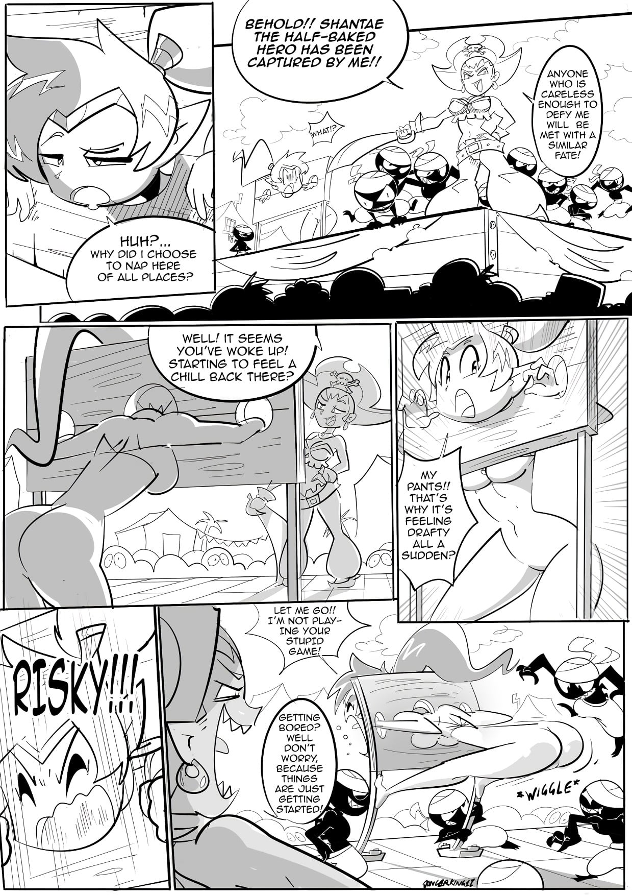 Shantae and Risky's Revenge — cover