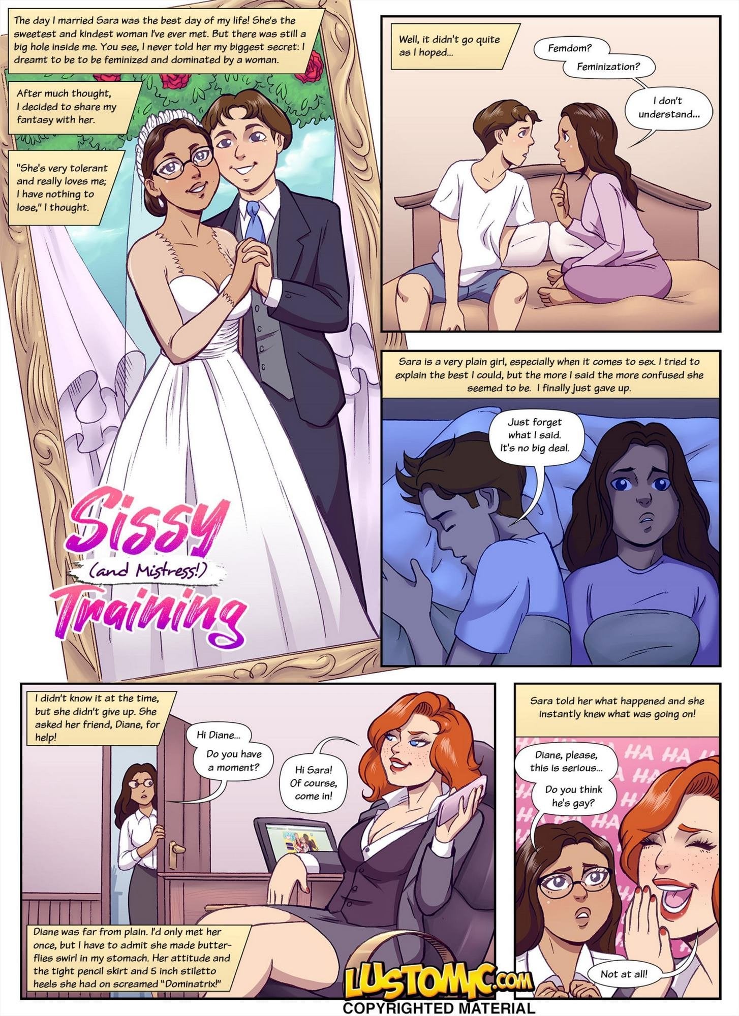Sissy (and mistress) training — cover