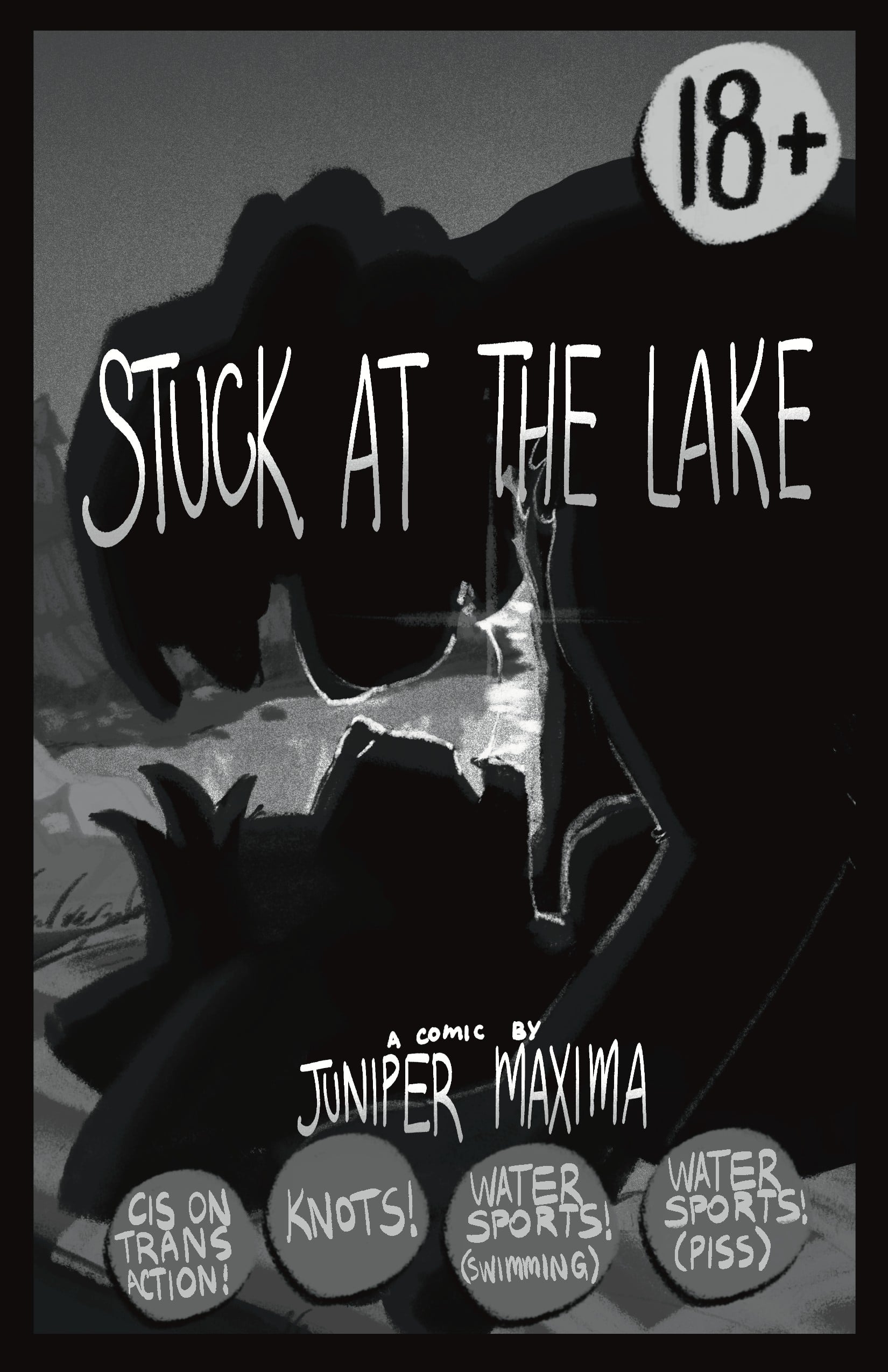 Stuck at the Lake — cover