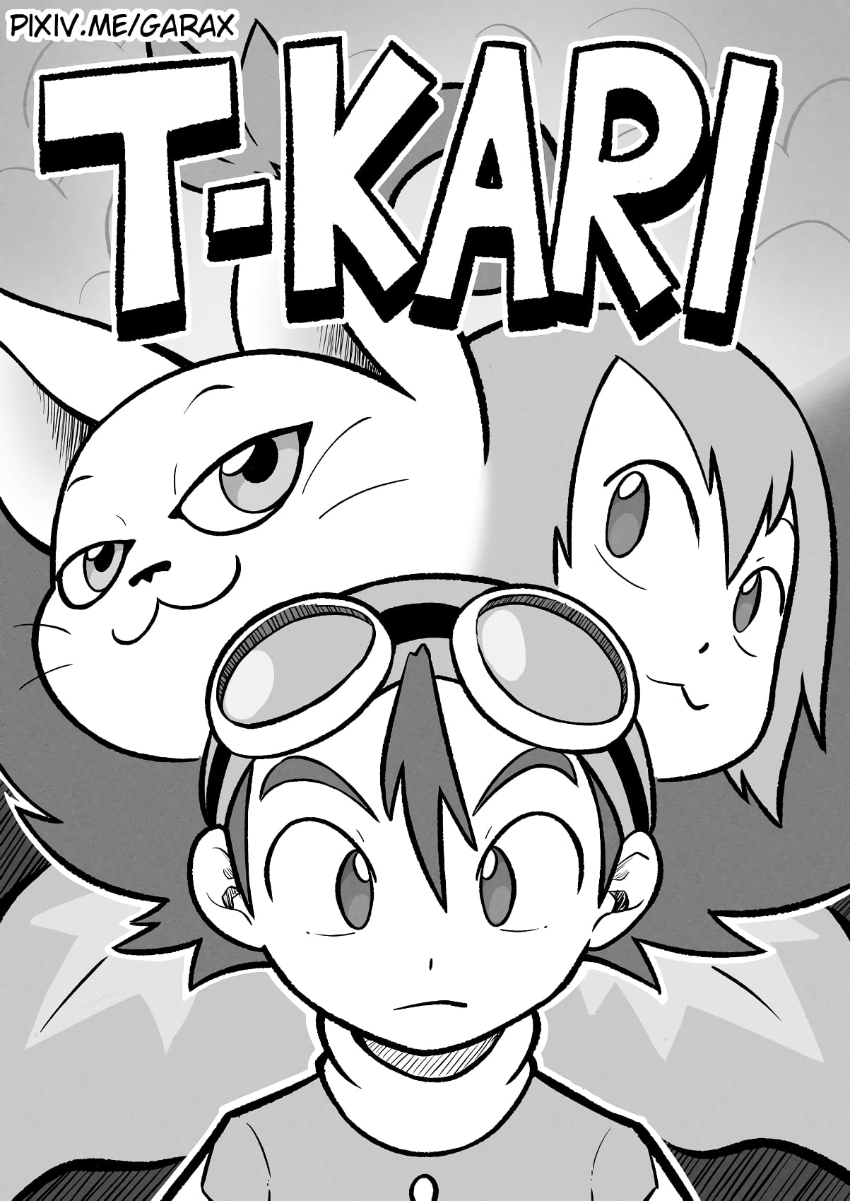 T- Kari — cover