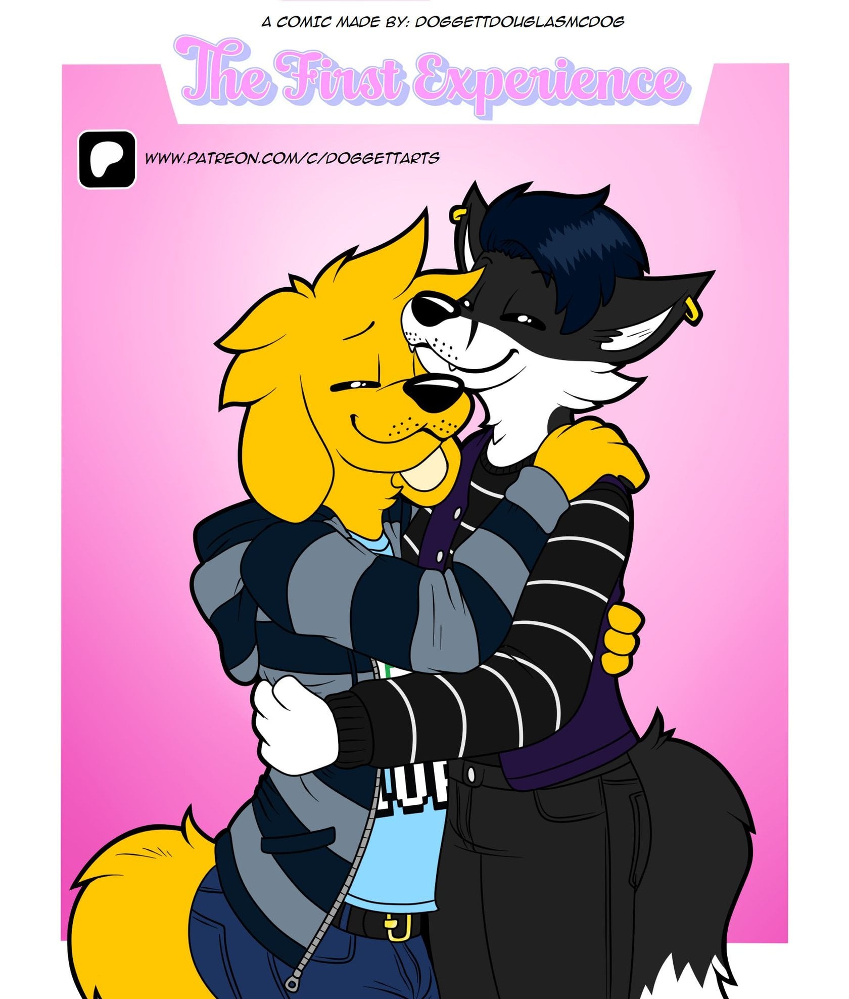 The First Experience — cover