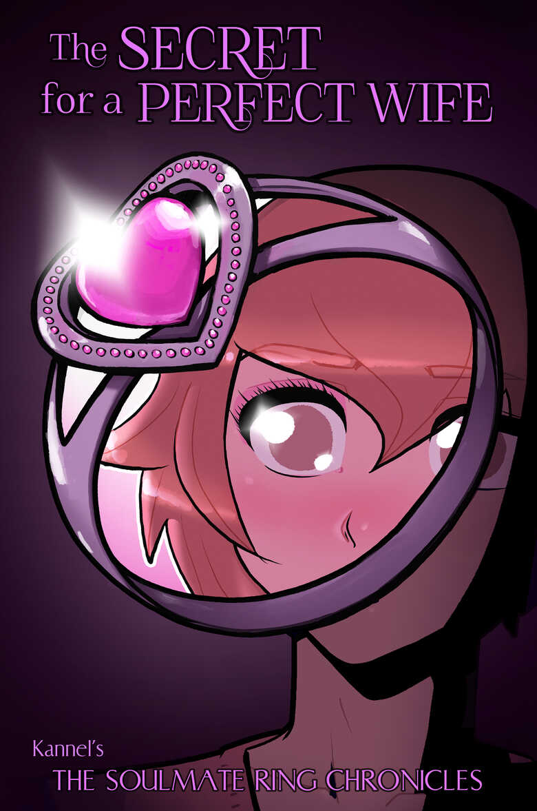 The Secret For A Perfect Wife — cover