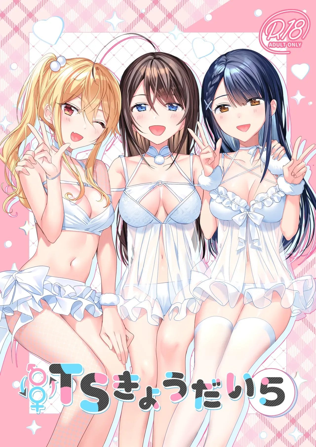 TS Kyoudai — cover