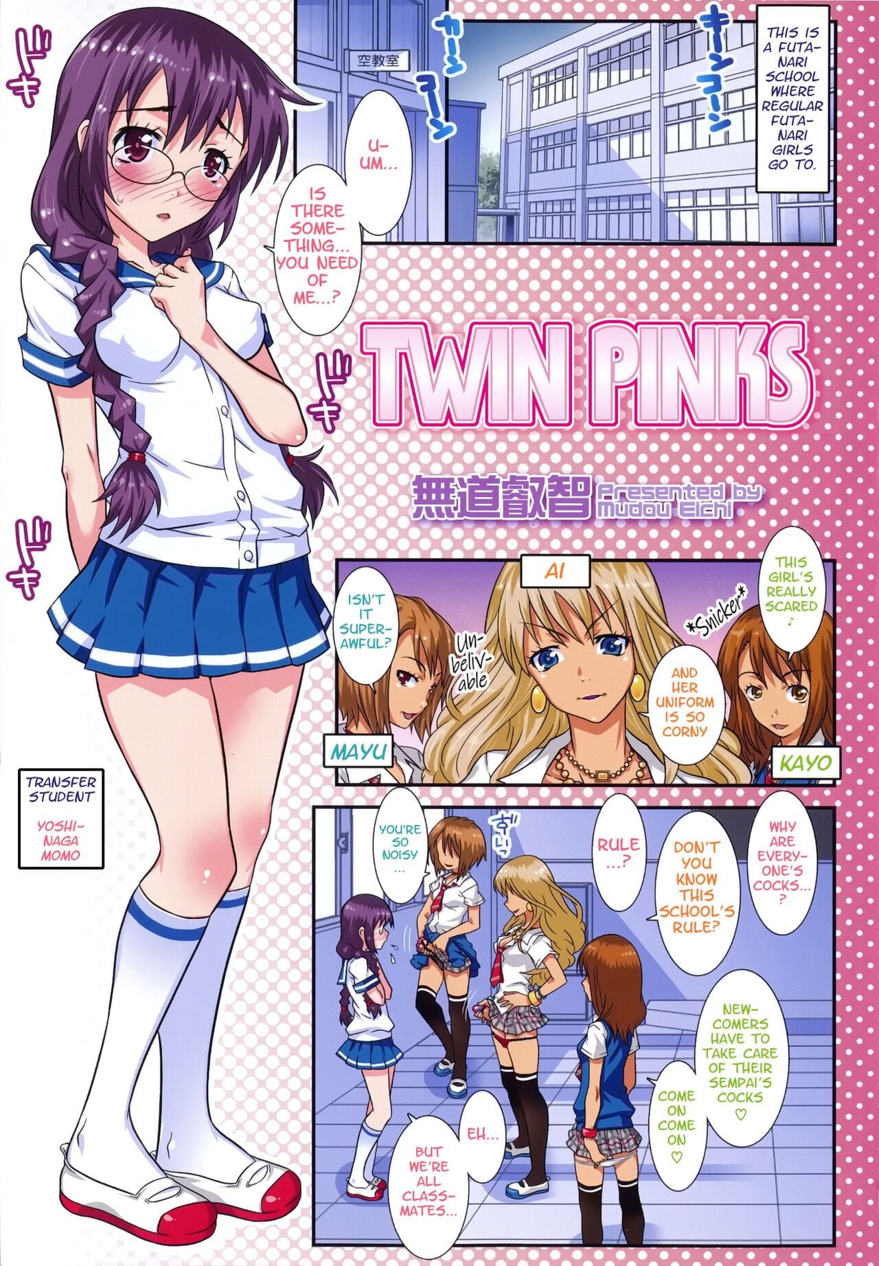 Twin Pinks (Futanarikko no Sekai 5) — cover
